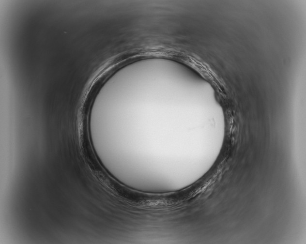 X0000095940344200802081241