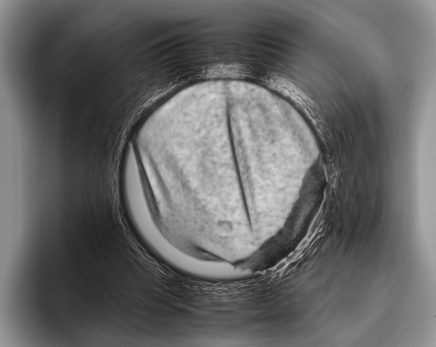 X0000095940345200802081242