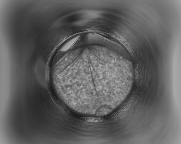 X0000095940347200802081242