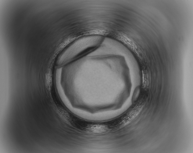 X0000095940348200802081242