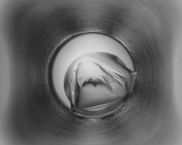 X0000095940350200802081242