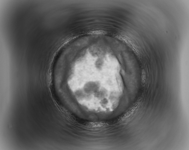 X0000095940351200802081242