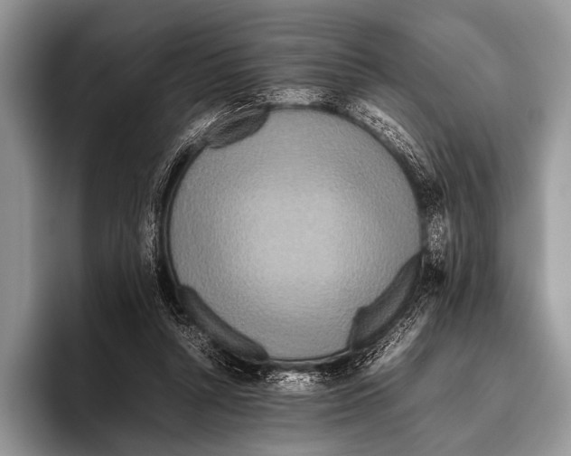 X0000095940352200802081242