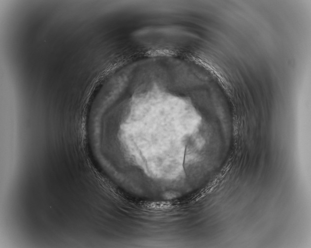 X0000095940353200802081242