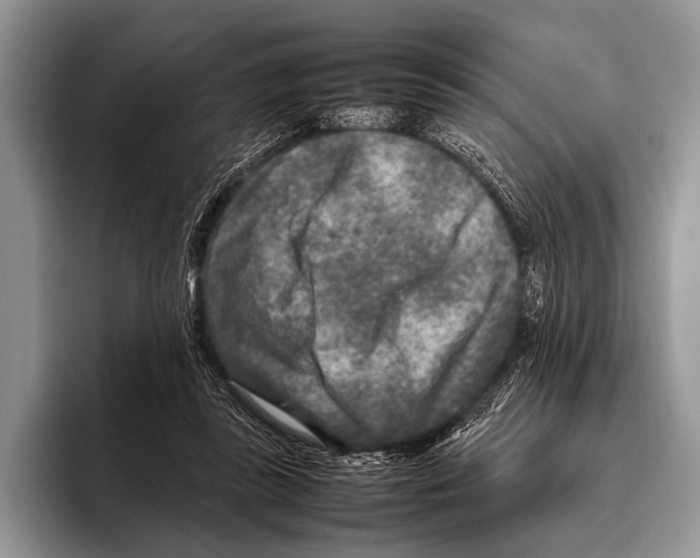 X0000095940355200802081242