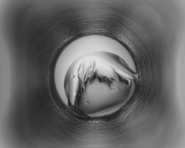 X0000095940356200802081242