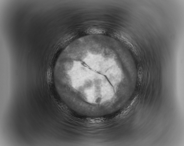 X0000095940359200802081242