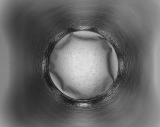 X0000095940360200802081242