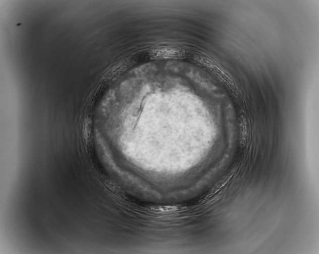 X0000095940361200802081242