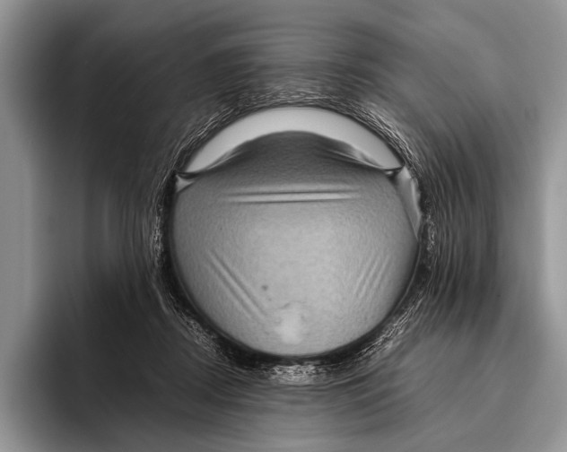 X0000095940362200802081242