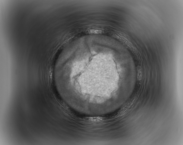 X0000095940363200802081242