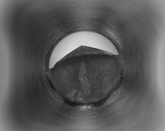 X0000095940366200802081242