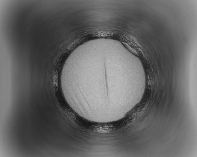 X0000095940368200802081242