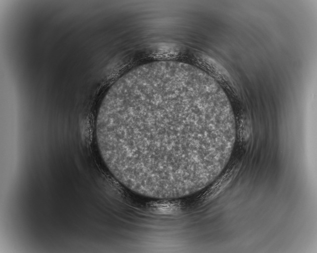 X0000095940370200802081242