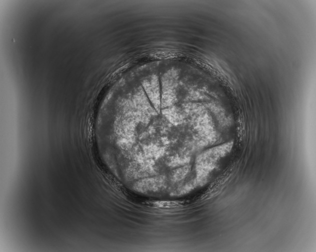 X0000095940371200802081242