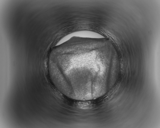 X0000095940373200802081242