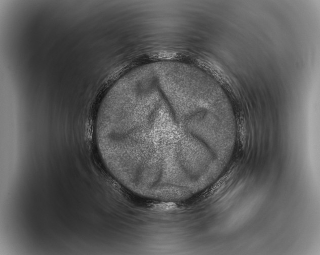 X0000095940374200802081242