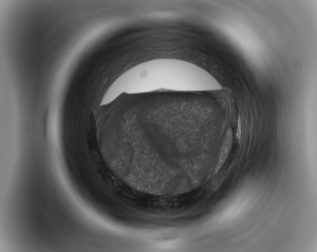 X0000095940383200802081242