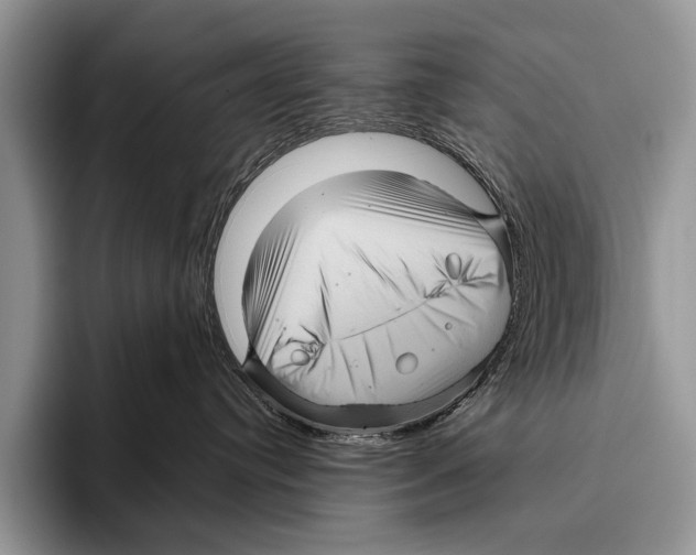 X0000095940384200802081242