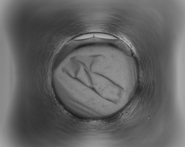 X0000095940385200802081241