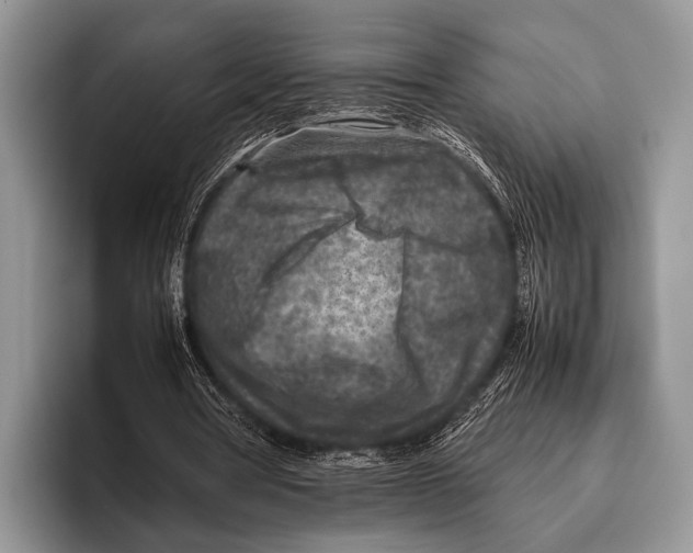 X0000095940386200802081241