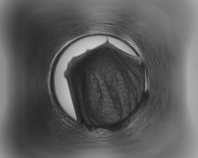 X0000095940387200802081241