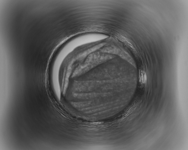 X0000095940388200802081241