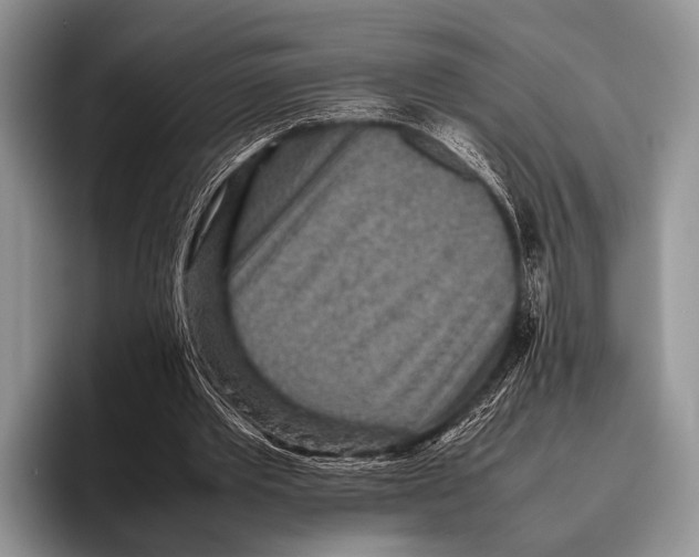 X0000095940389200802081241