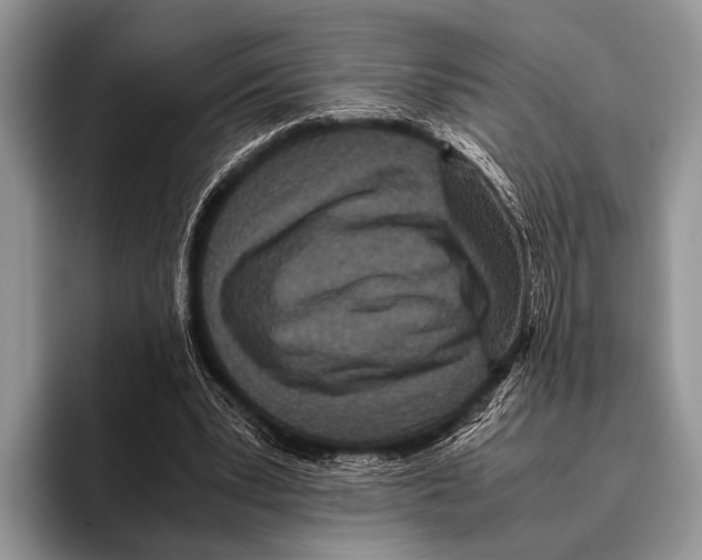 X0000095940391200802081241