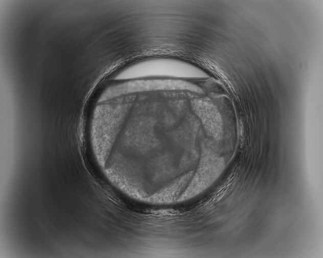 X0000095940396200802081241