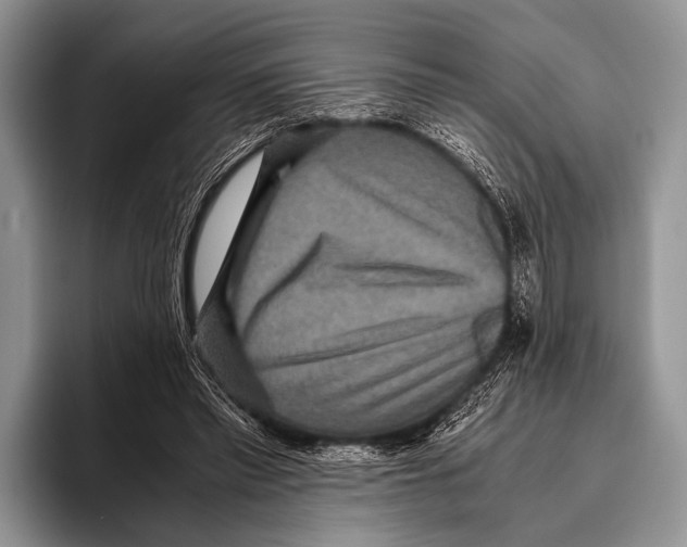 X0000095940397200802081241