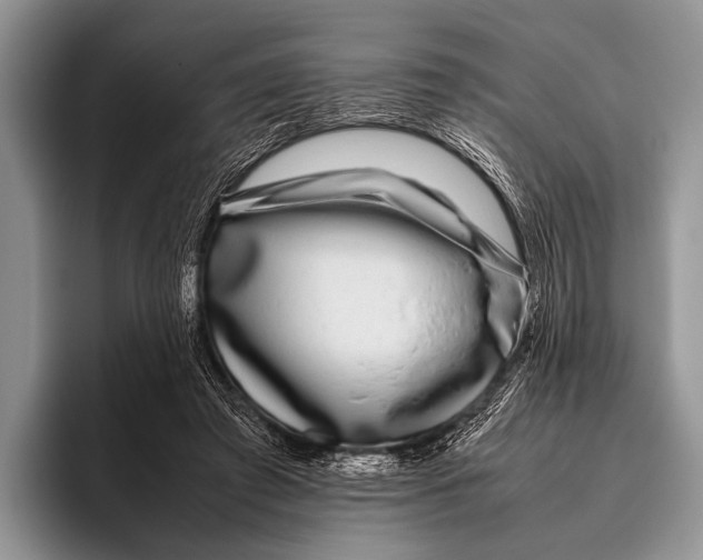 X0000095940401200802081241