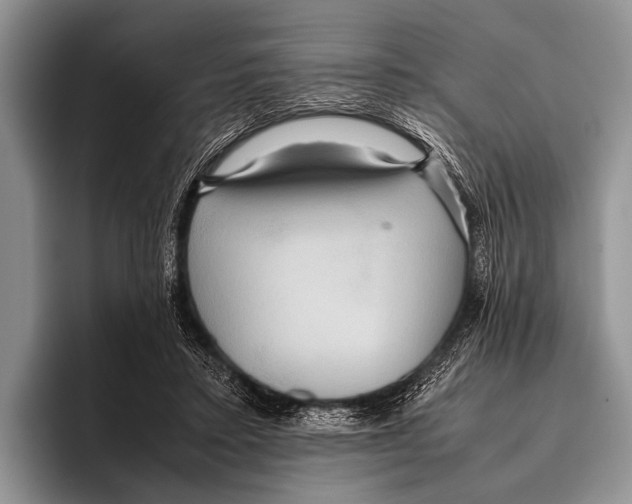 X0000095940403200802081241