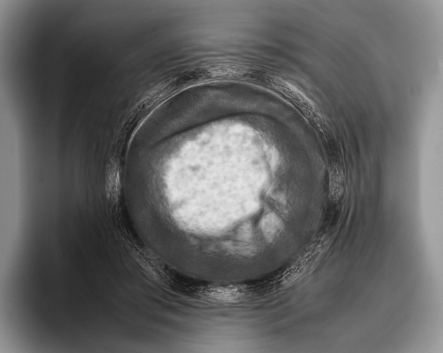 X0000095940405200802081241