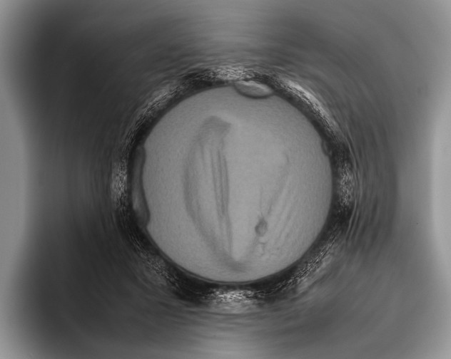 X0000095940407200802081241