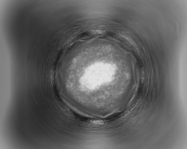 X0000095940409200802081241