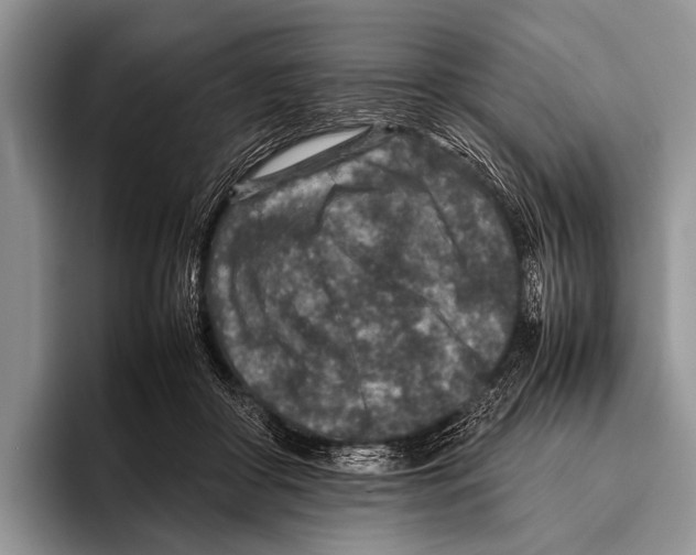 X0000095940410200802081241