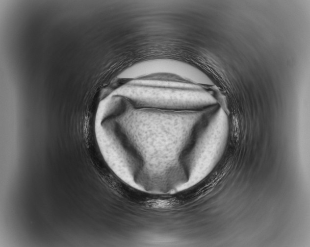 X0000095940412200802081241