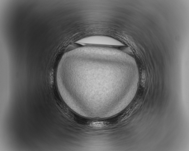 X0000095940413200802081241