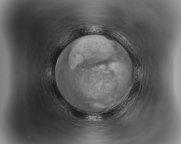 X0000095940415200802081241