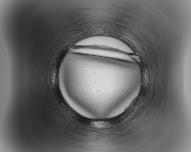 X0000095940417200802081241