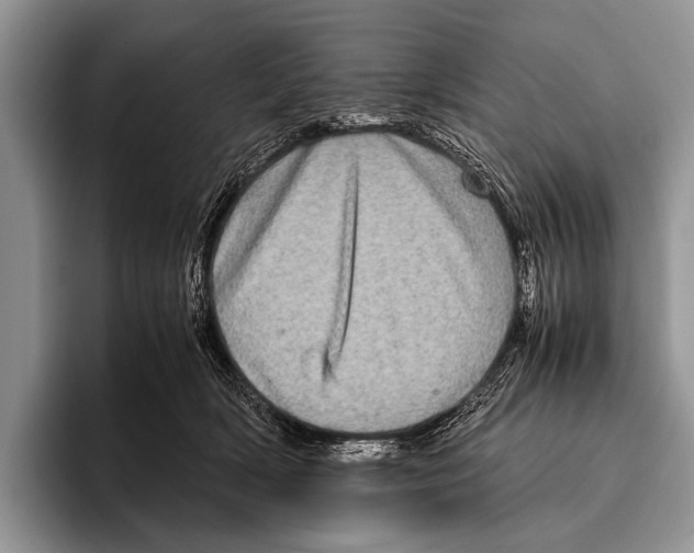 X0000095940418200802081241