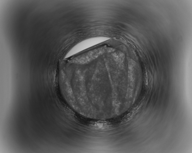 X0000095940420200802081241