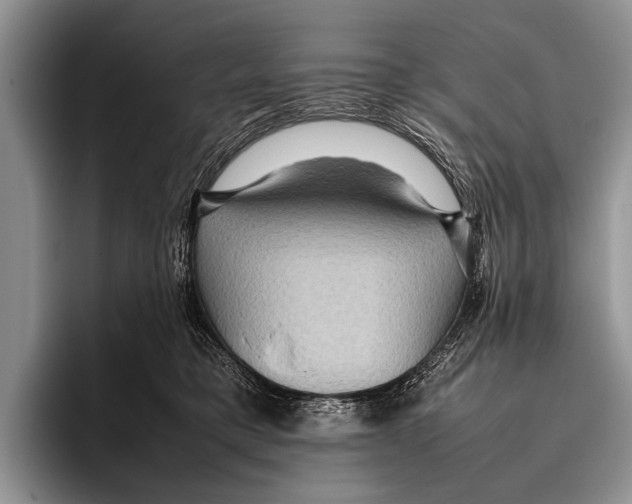 X0000095940421200802081241