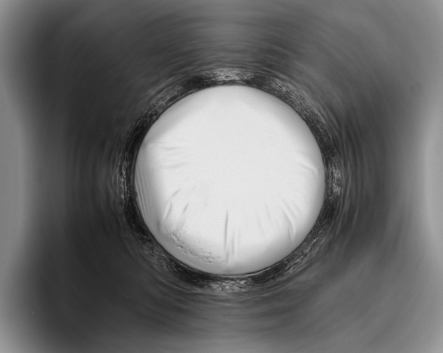 X0000095940422200802081241