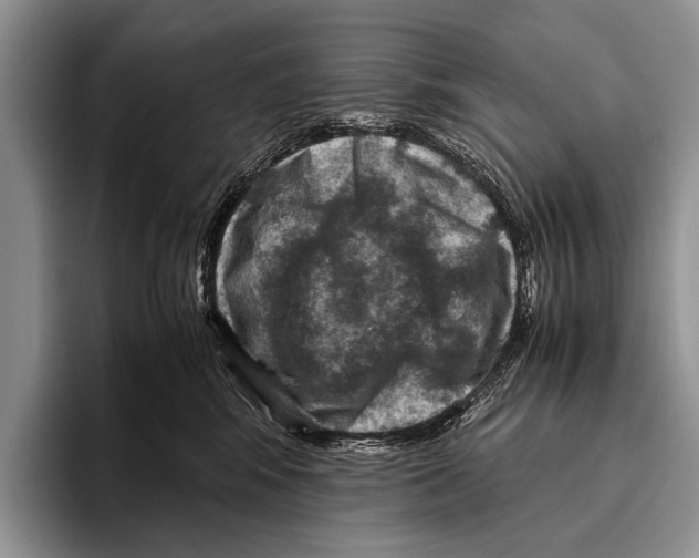 X0000095940424200802081241