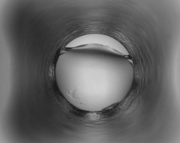 X0000095940425200802081241