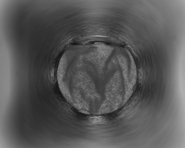 X0000095940428200802081241