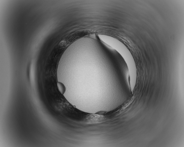 X0000095940429200802081241