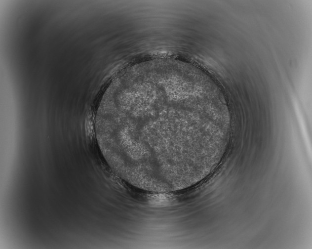 X0000095940432200802081241